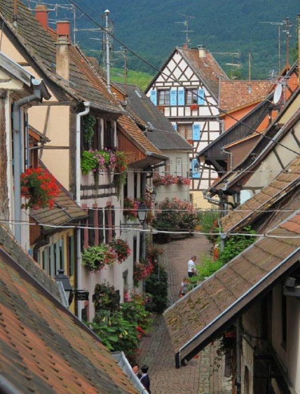 Gite Au Coeur D'Eguisheim Værelse billede